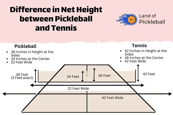 tennis net height vs pickleball net height