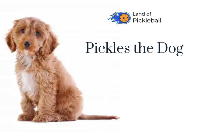 Pickles the Dog