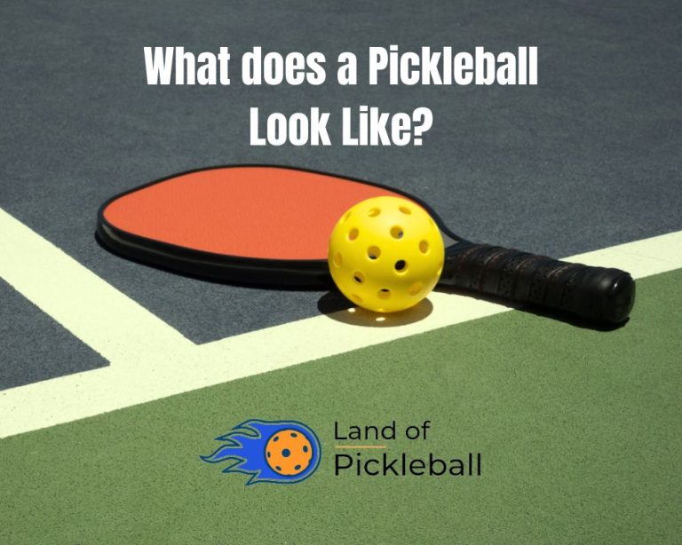 What does a Pickleball Look Like?