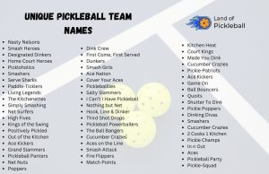 [Unique] 700+ Awesome Pickleball Team Names in 2024 | LOP