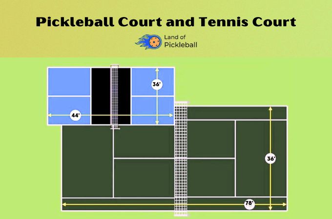 Pickleball Court and Tennis Court Comparison