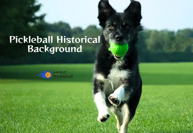 Pickleball Historical Background
