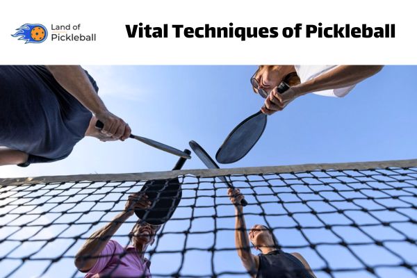 Vital Techniques of Pickleball