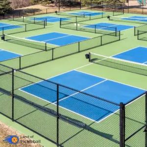 Best Gifts for Pickleball Players